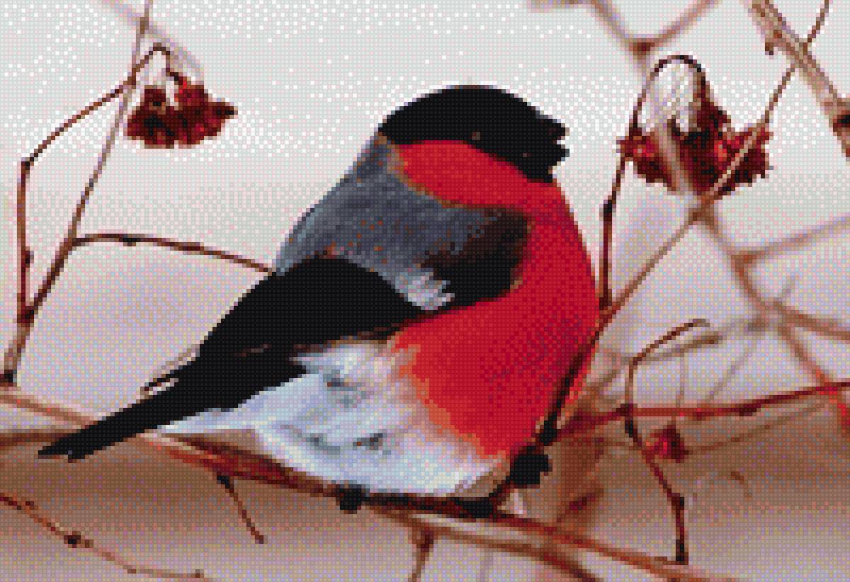 снегирь - птицы, снегири. зима - предпросмотр