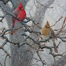 Схема вышивки «птицы»