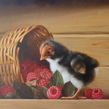 Схема вышивки «Малина и цыплёнок»