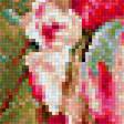 Предпросмотр схемы вышивки «цветна градина» (№1451766)
