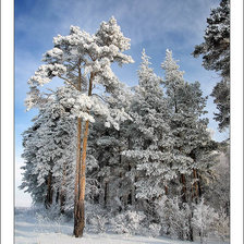 Схема вышивки «зимний пейзаж»
