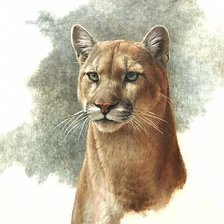 Схема вышивки «№1452074»