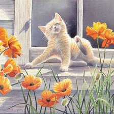 Схема вышивки «№1452076»