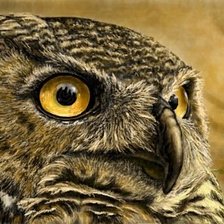 Схема вышивки «сова»