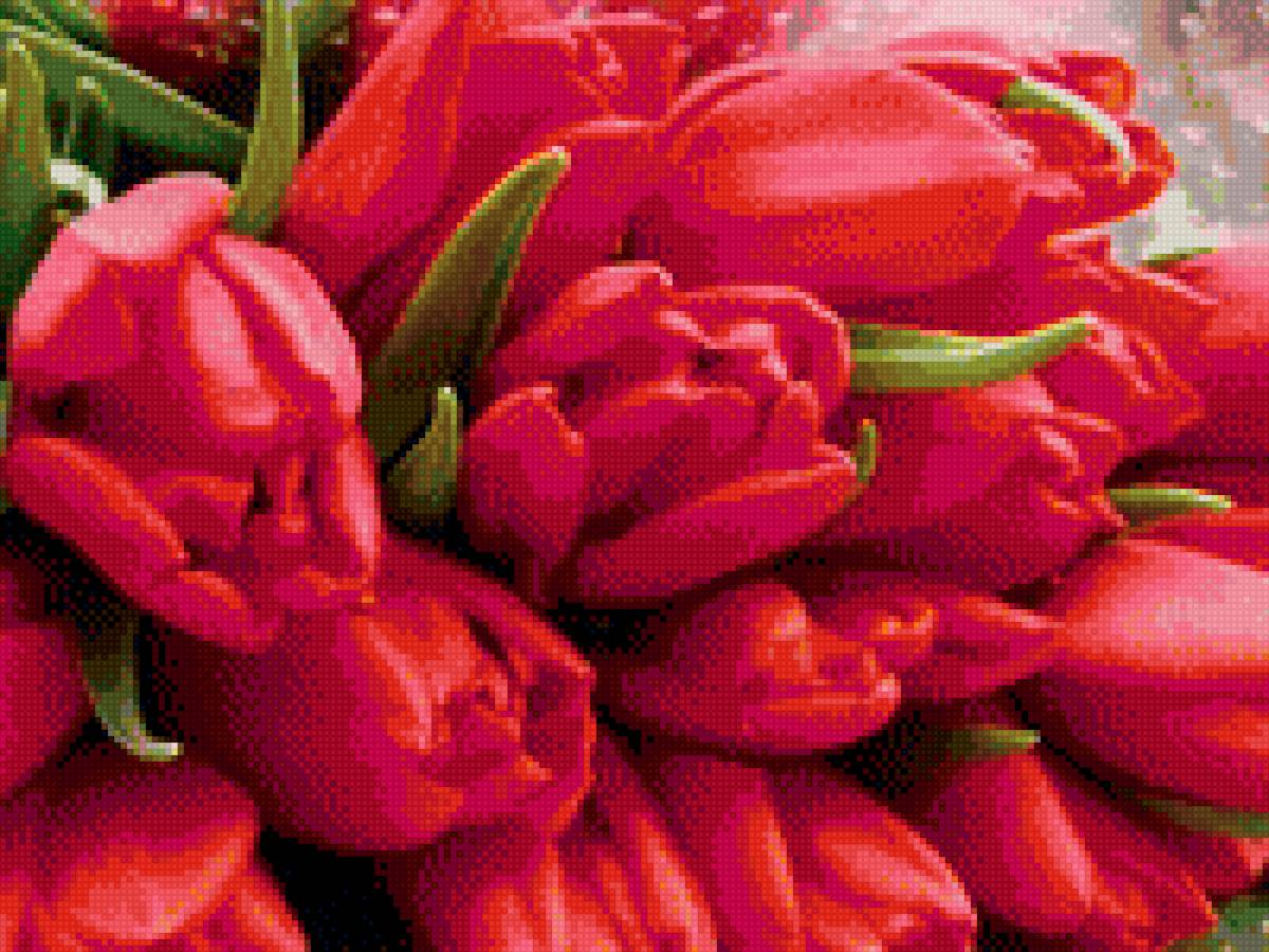 Тюльпаны - цветы, тюльпаны - предпросмотр