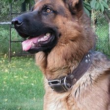 Схема вышивки «№1452958»