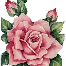 Схема вышивки «Роза для подушки»