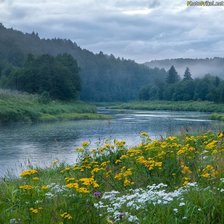 Схема вышивки «река»