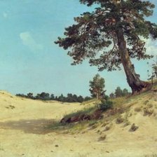 Схема вышивки «Shishkin»