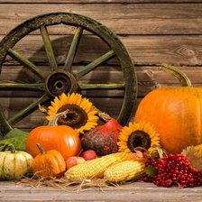 Схема вышивки «натюрморт»