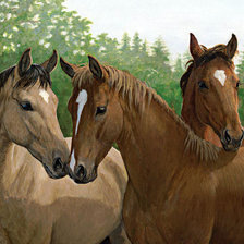 Схема вышивки «№1453870»