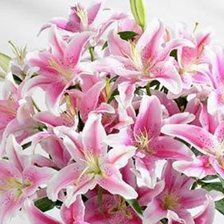 Схема вышивки «Лилии»