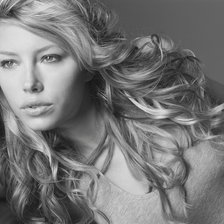 Схема вышивки «джесика билл»