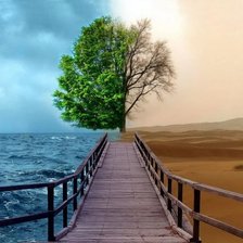 Схема вышивки «природа»