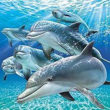 Схема вышивки «Virgen33»