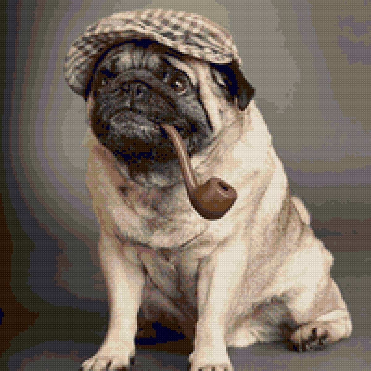 Шерлок Мосп - мопс - предпросмотр