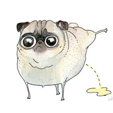 Схема вышивки «мульти мопс»