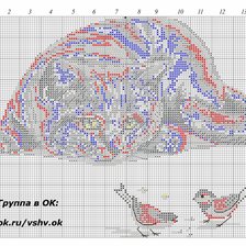 наблюдатель