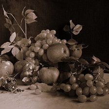 Схема вышивки «монохром»