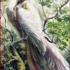 Схема вышивки «Гамаюн»