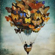 Схема вышивки «бабочки,»