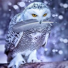 Схема вышивки «сова»