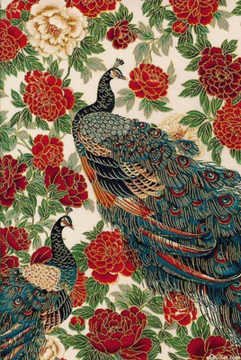 павлины в саду - королевские павлины - предпросмотр