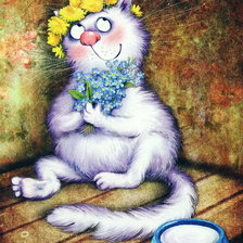 синие котики