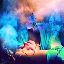 Схема вышивки «Бабочки»