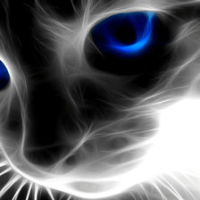 Схема вышивки «котик»