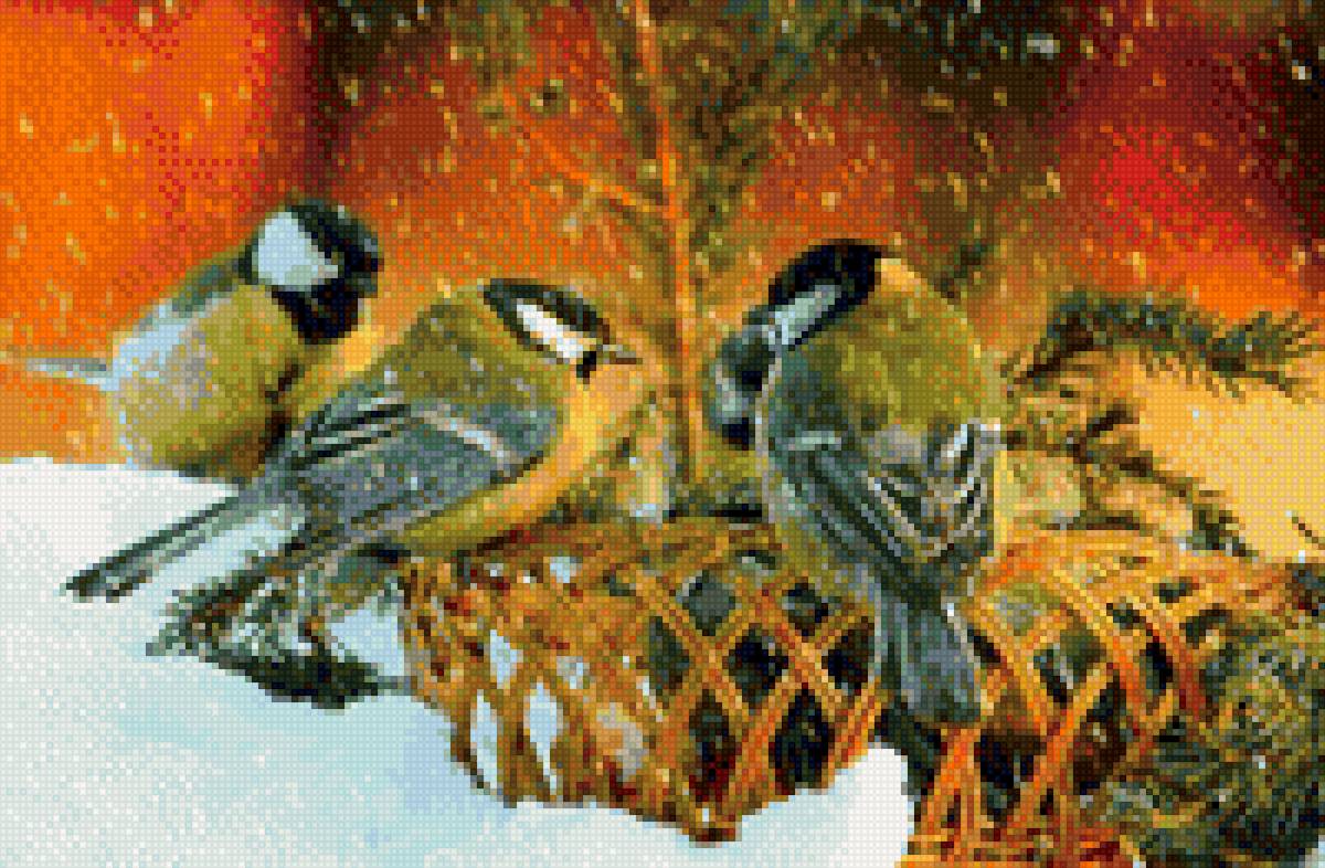 синицы - птицы - предпросмотр