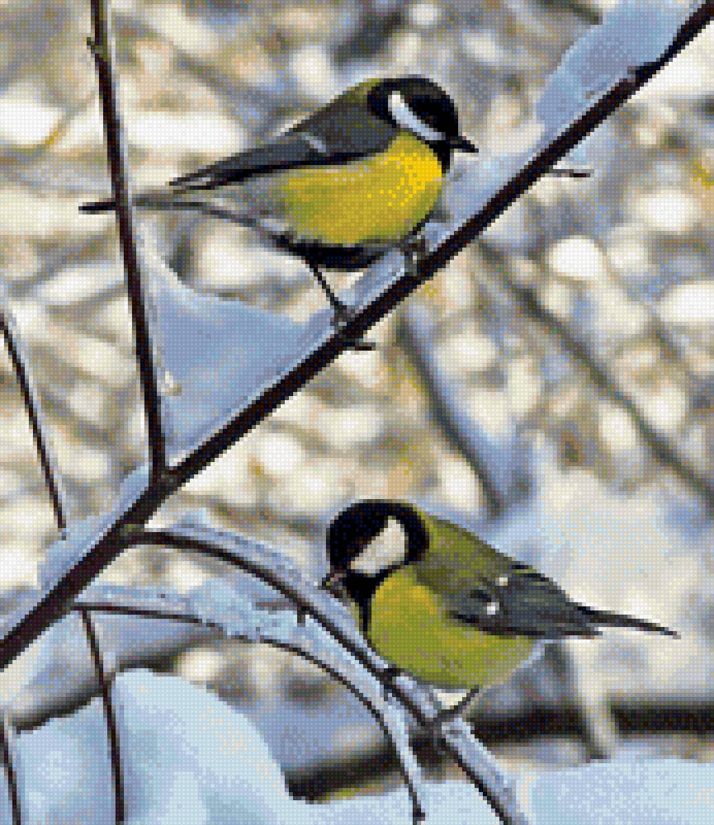 синички - птицы - предпросмотр