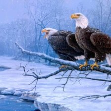 Схема вышивки «орлы»