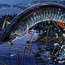 Схема вышивки «на заимке»