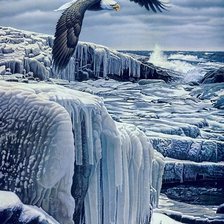 Схема вышивки «хозяин неба»