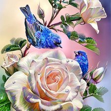 Схема вышивки «Розы»