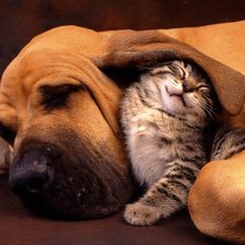 Схема вышивки «Друзья 2»