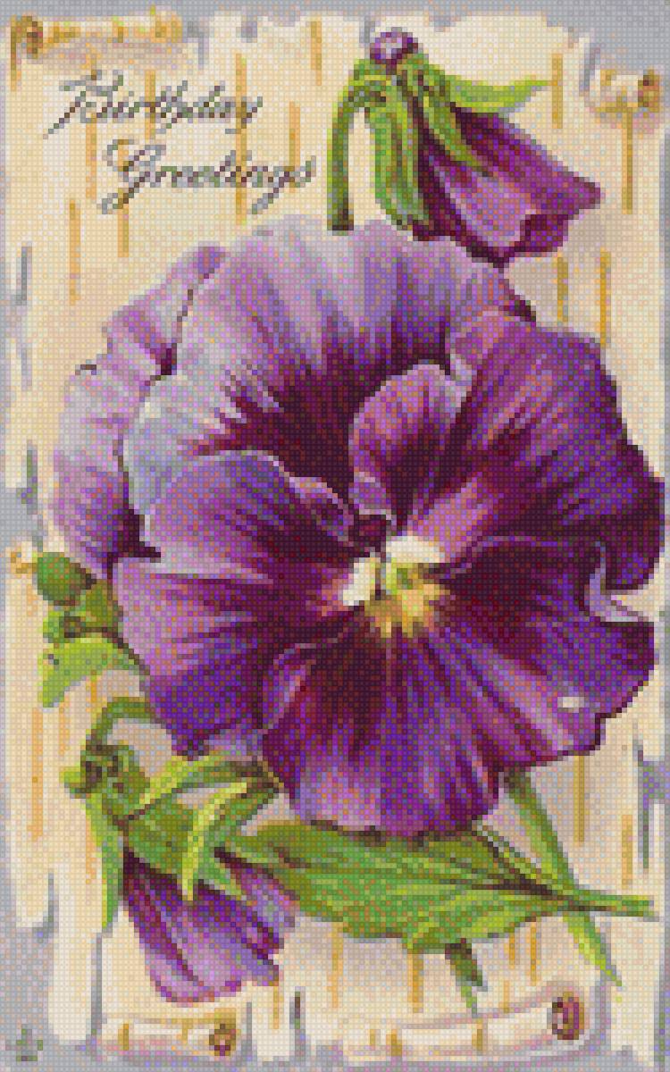 фиалка - цветы, винтаж - предпросмотр