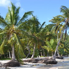 Схема вышивки «Пунта Кана»