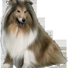 Схема вышивки «Колли»