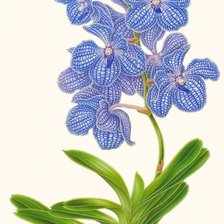 Схема вышивки «лиловые цветы»