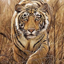 Схема вышивки «Сквозь заросли...»