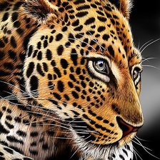 Схема вышивки «леопард»