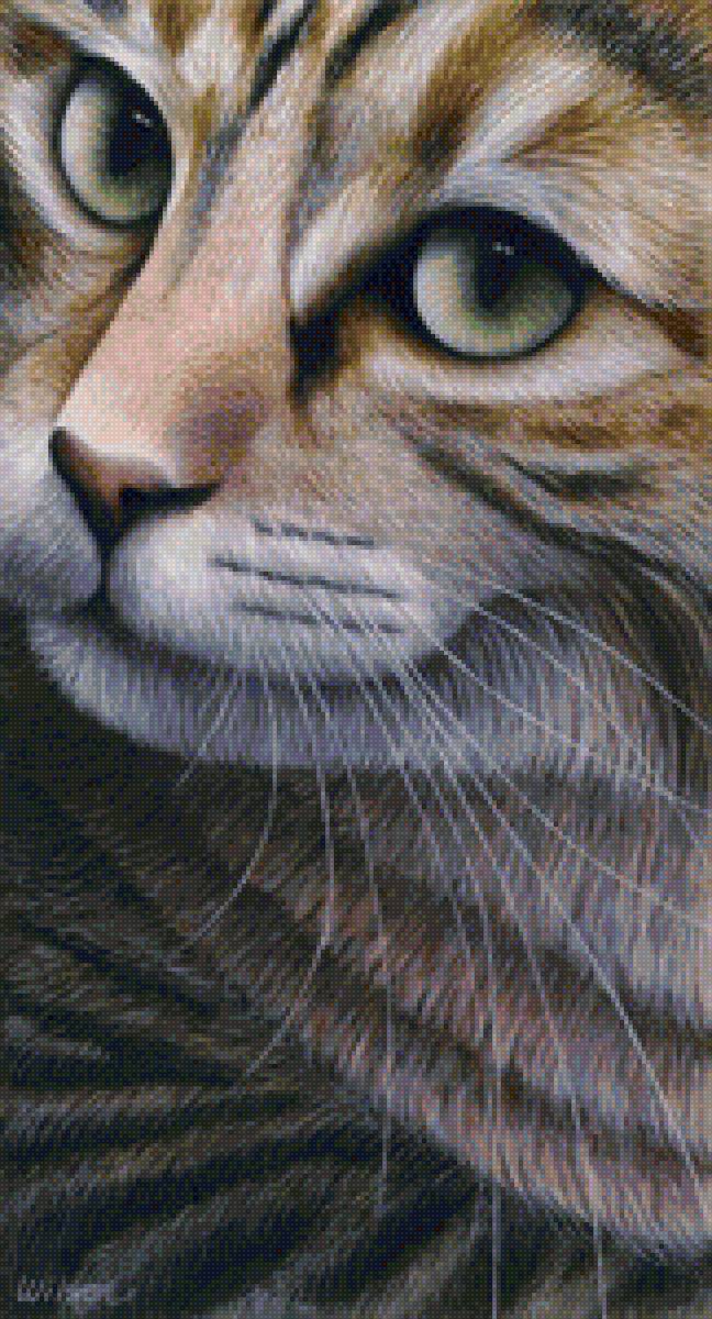 кот - взгляд, кошка, морда, кот, животные - предпросмотр