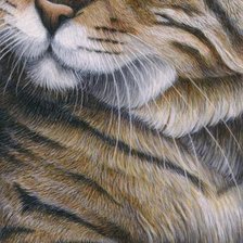 Схема вышивки «кот»