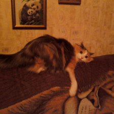 Схема вышивки «Софа»