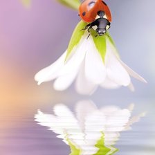 триптих утро в саду ч.1