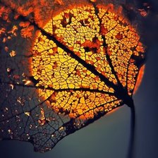 Схема вышивки «закат в листе»