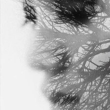 Схема вышивки «загадка монохром»