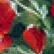 Предпросмотр схемы вышивки «маки» (№1462544)